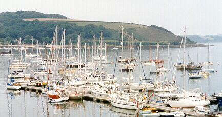 Puffling at Falmouth Visitors' Yacht Haven